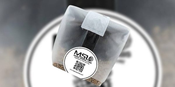 MSL Grow Kit